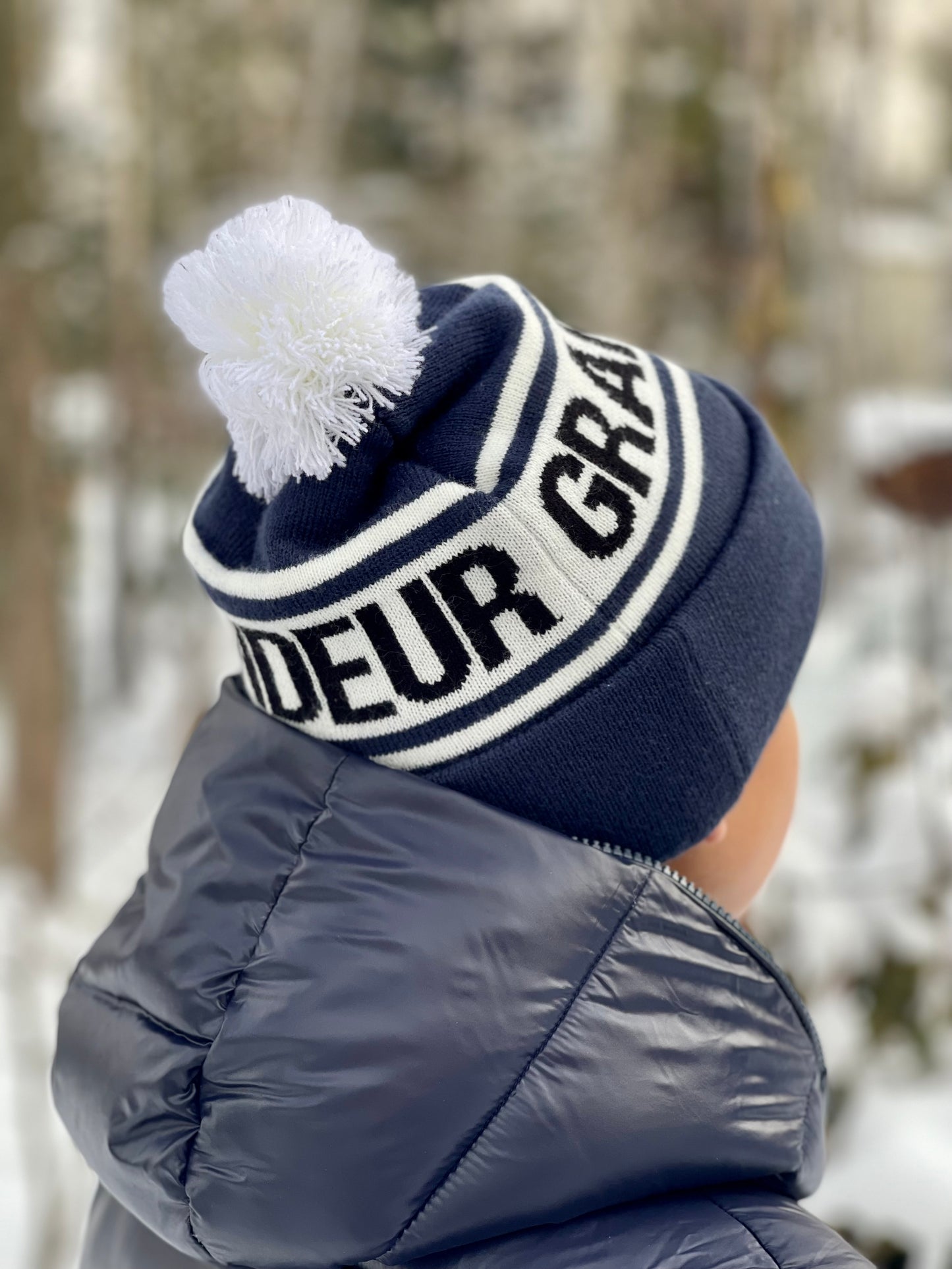 23.3 Pom Beanie - Navy blue